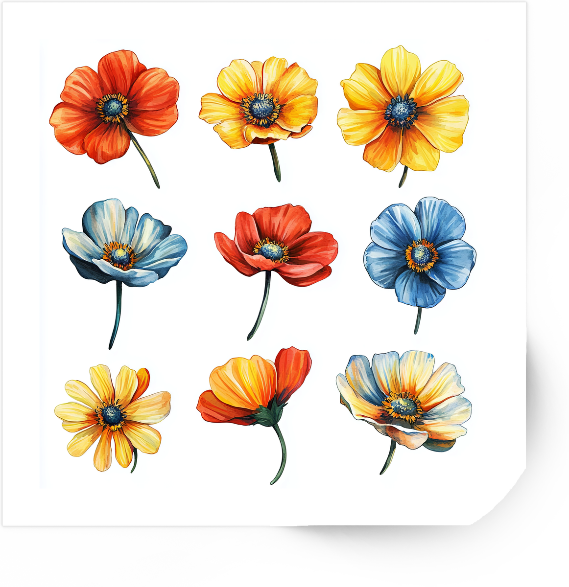 Colorful Poppy Flower Sticker | Watercolor Wildflower Vinyl Decal Set | Floral Nature Gift