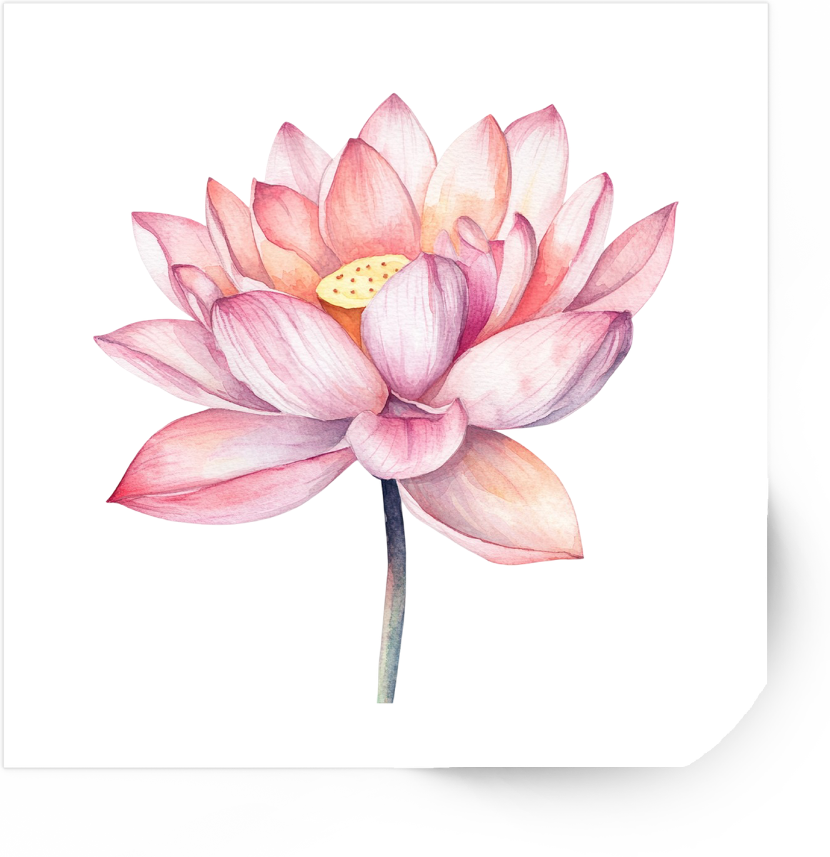 Pink Lotus Flower Sticker | Watercolor Floral Vinyl Decal | Zen Botanical Gift